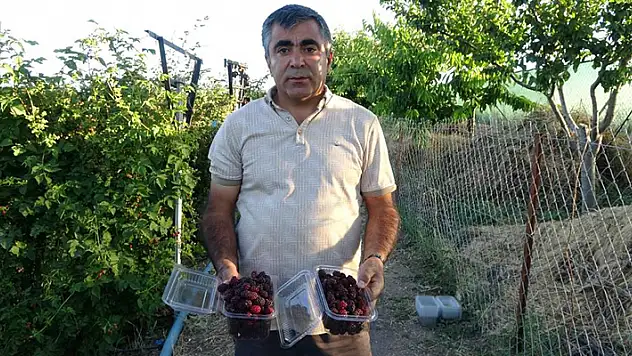 3 yıl önce evinin bahçesinde hobi olarak başladı, şimdi taleplere yetişemiyor
