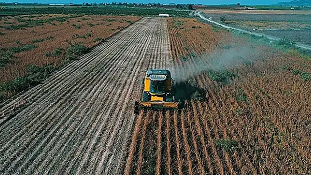 300 bin kişiye istihdam sağlanacak!