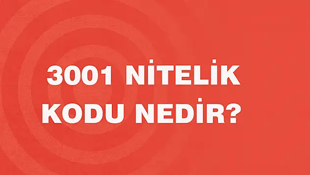 3001 Nitelik Kodu Nedir?
