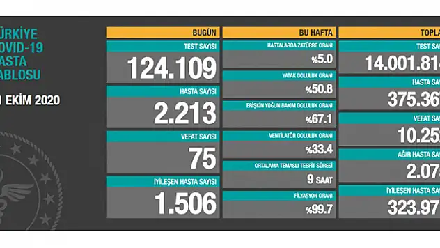 31 Ekim koronavirüs tablosu! Hasta, ölü sayısı ve son durum açıklandı