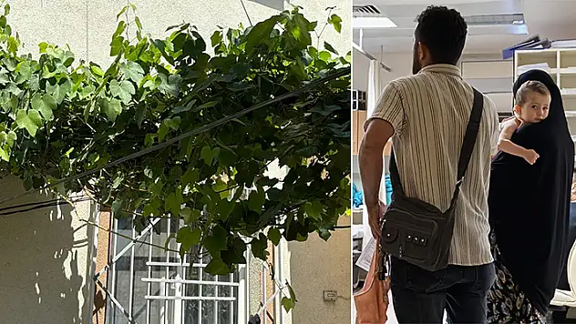 4'üncü kat balkonundan düşen 1 yaşındaki Sahra, üzüm asmasına takıldı
