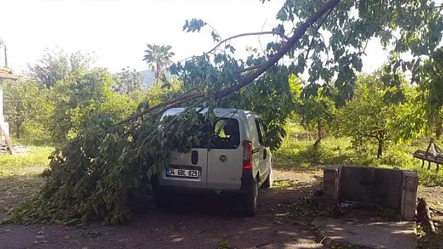 45 dakika yağdı, ağaçlar devrildi, çatı uçtu
