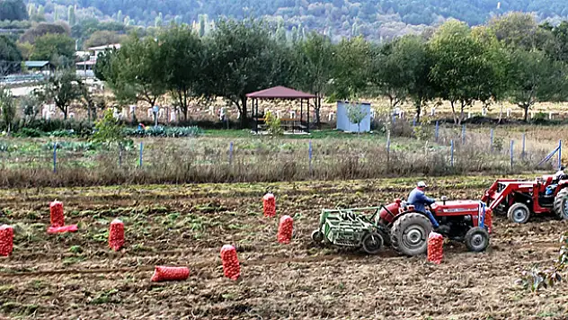 5 Liraya Kadar Çıkan Patates 40 Kuruşa Düştü