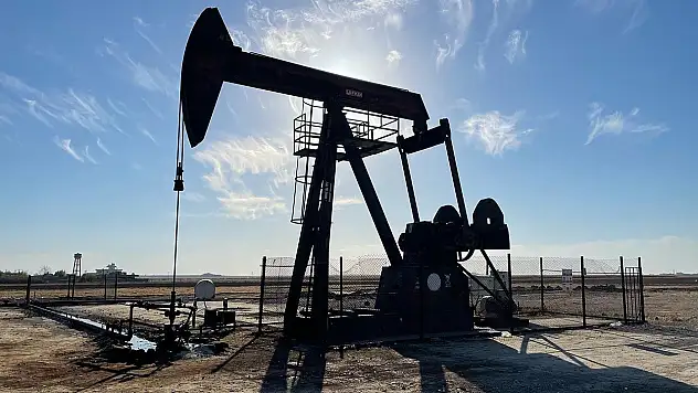 5 sahada daha petrol aranacak