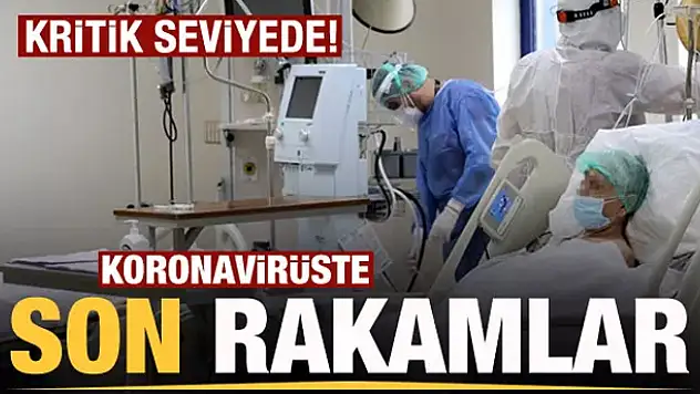 5 Şubat koronavirüs tablosu! Vaka, Hasta, ölü sayısı ve son durum açıklandı