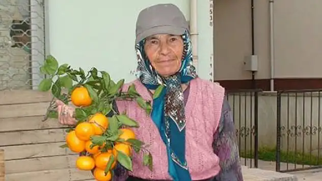 50 Yıldır Sebze Meyve Satıyor