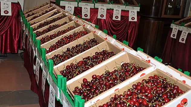 6. Akşehir Kirazı Kültür ve Sanat Festivali