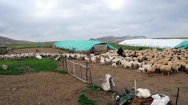 6 bin lira maaşla çalışacak işçi arıyorlar
