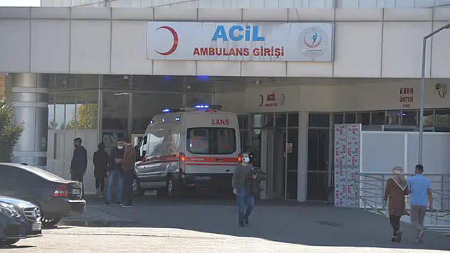 67 yaşındaki vatandaş kene ısırdıktan 1 hafta sonra öldü

