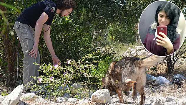 7 aydır kayıp Nihal, telefonunun en son sinyal verdiği yerde 100 polis ve kadavra köpeğiyle arandı
