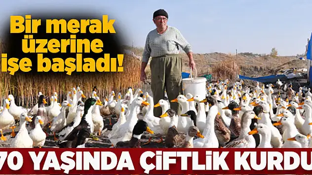 70 yaşında organik ördek çiftliği kurdu
