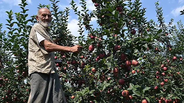 75 yaşındaki dede gençlere taş çıkartıyor