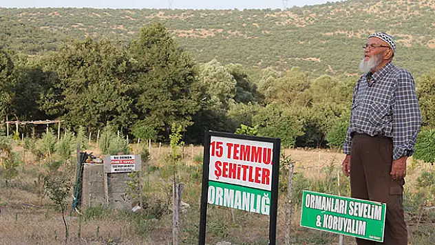8 bin fidan dikti, '15 Temmuz Şehitler Ormanı' adını verdi  