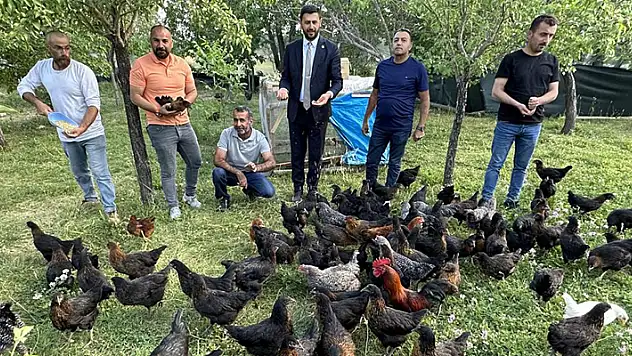 8 civcivle işe başlayan 4 öğretmen bin 200 tavuklu çiftlik kurdu
