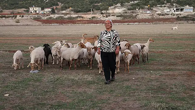 8 yıl önce devlet desteğiyle 31 koyun alan mahallenin tek kadın çobanı, koyunlardan elde ettiği kazançla ev ve araba sahibi oldu
