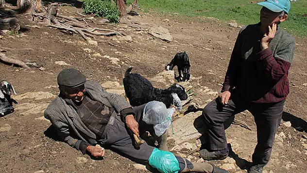 80 Yaşında, Varlık İçinde Sefalet Çeken Adam