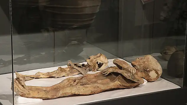 97 yıl önce bulunan 2 çocuk mumyası, ilk günkü gibi korunuyor
