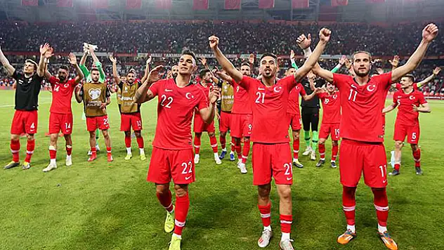 A Milli Futbol Takımı gruptaki ilk mağlubiyetini aldı
