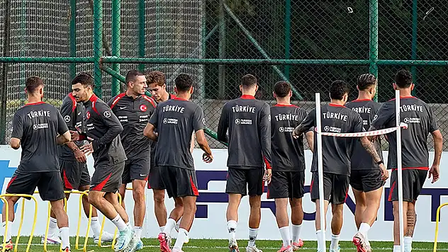 A Milli Futbol Takımı, İzmir'de İzlanda ile karşılaşacak

