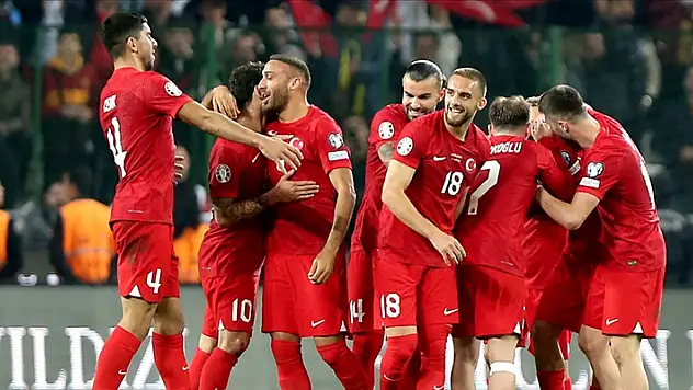 A Milli Futbol Takımı'nın Almanya ve Galler maçları kadrosu belli oldu
