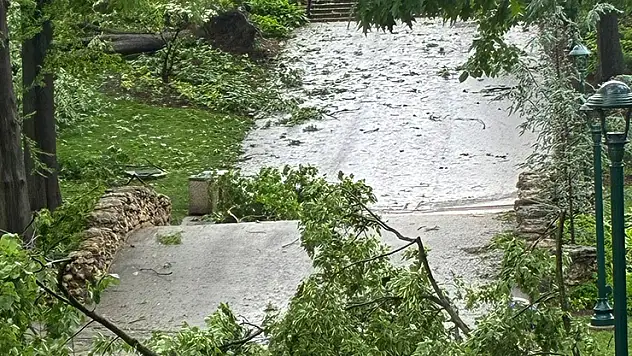 ABD'de kasırga ve fırtına: En az 21 kişi hayatını kaybetti