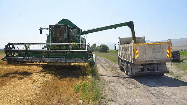 Adabağ'da yılın ilk organik tarım hasadı başladı
