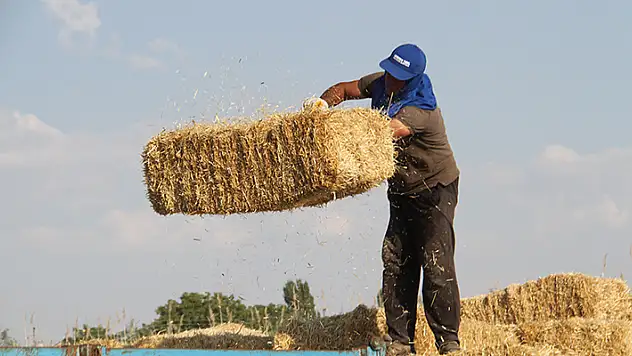 Adadaki saman balyalarını Beyşehir Gölü'nden 'duba' aracılığıyla karşı kıyıya taşıyorlar
