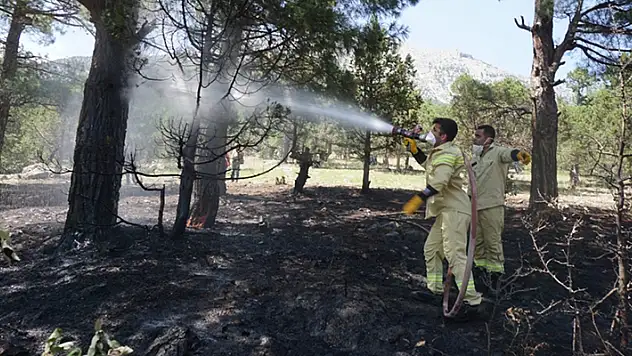 Adana'da 6 noktadaki orman yangınlarıyla ilgili bir zanlı tutuklandı
