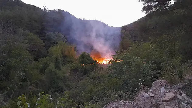 Adana'da bahçe yangını, ormana sıçramadan söndürüldü
