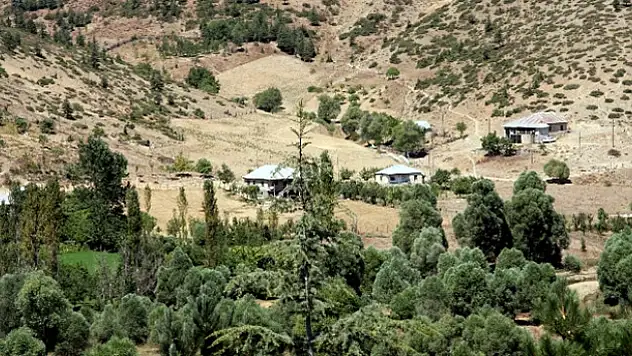 Adana'da başsız ceset bulundu