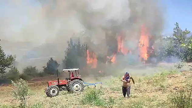 Adana'da çıkan anız yangını zeytinlik ve ormanlık alana sıçradı
