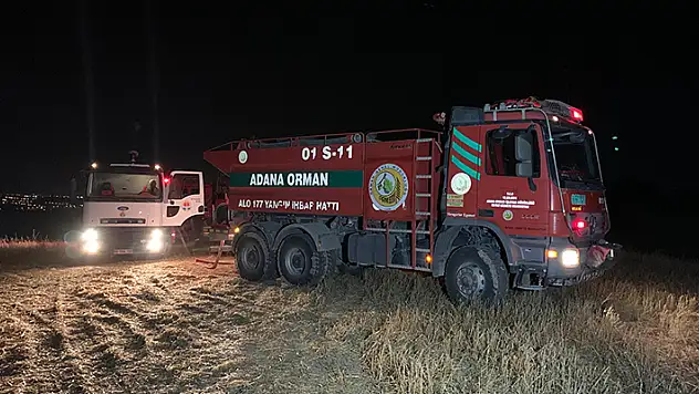 Adana'da çıkan orman yangını söndürüldü
