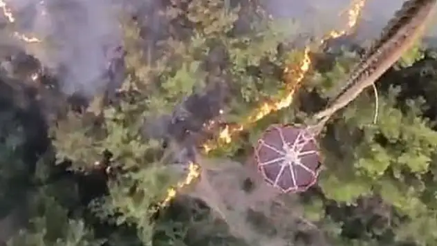 Adana'da orman yangını: 10 yayla evi tahliye edildi
