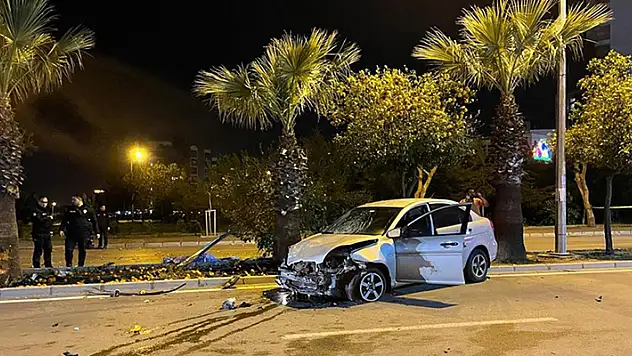 Adana'da refüjde turunç toplayan 3 kadın, otomobillerin çarpması sonucu öldü

