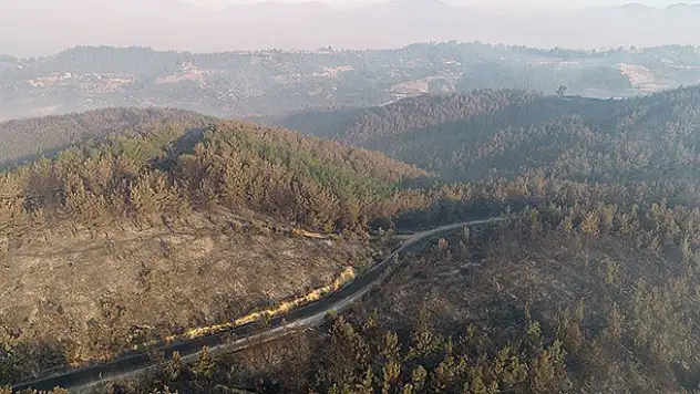 Adana Kozan'daki orman yangını kontrol altına alındı