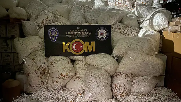 Adana'da 112,5 milyon kaçak makaron ele geçirildi 1 tutuklama

