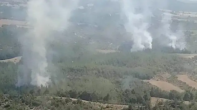 Adana'da orman yangını çıktı