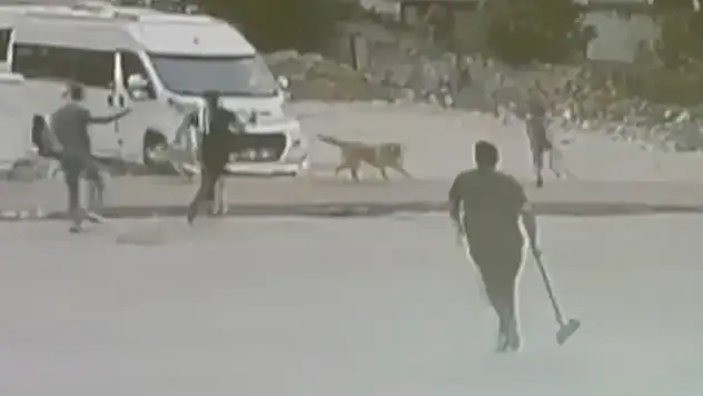 Adana'da sahipsiz köpeklerin saldırdığı 2 çocuk esnafın yardımıyla kurtarıldı