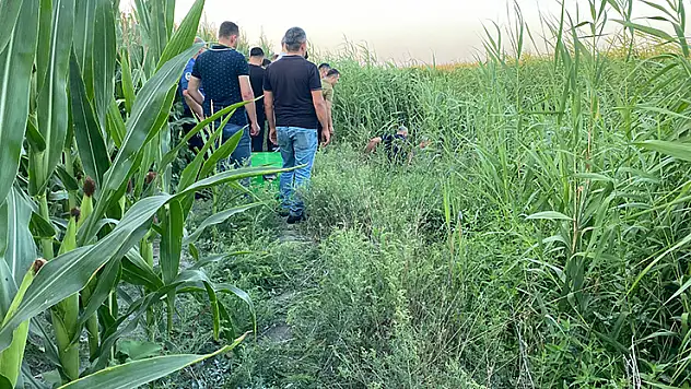 Adana'da sazlıklar arasında bir kişi ölü bulundu