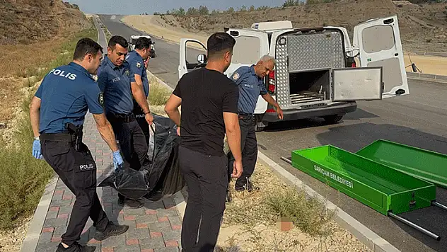 Adana'da yol kenarında ceset bulundu