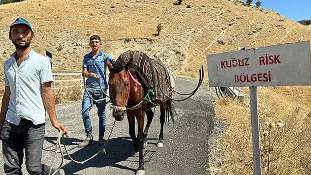 Adıyaman'da bir köy kuduz nedeniyle karantinaya alındı
