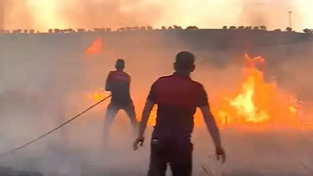 Adıyaman'da buğday tarlası yandı
