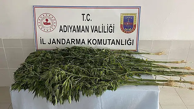 Adıyaman'da uyuşturucu operasyonu: 28 gözaltı

