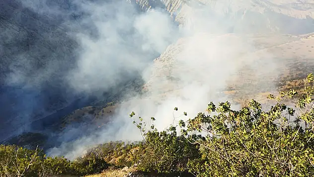 Adıyaman'ın Gerger ilçesinde çıkan orman yangını kontrol altına alındı

