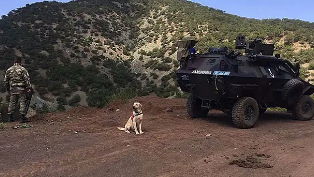 Adıyaman kırsalında 3 terörist etkisiz hale getirildi