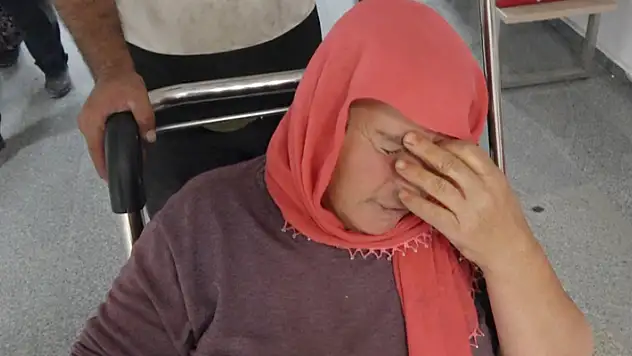 Adres: Aksaray! Köpeklerin saldırısında yaralandı, hastaneye giderken kaza geçirdi
