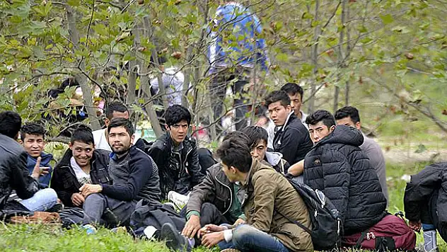 Afganistanlı kaçakları 'İzmir' diye Bursa'ya bıraktılar