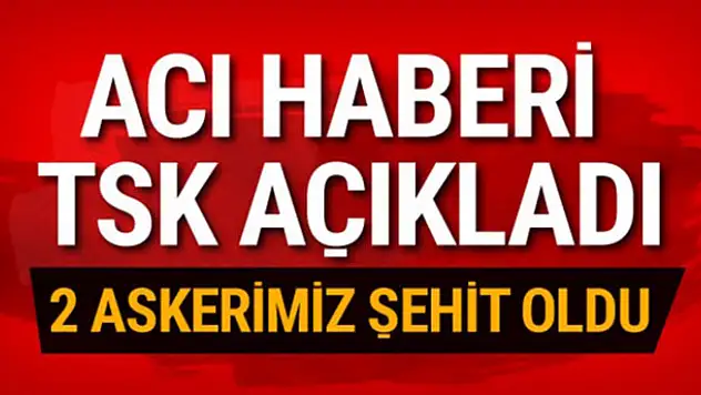 Afrin'den acı haber! 2 şehit