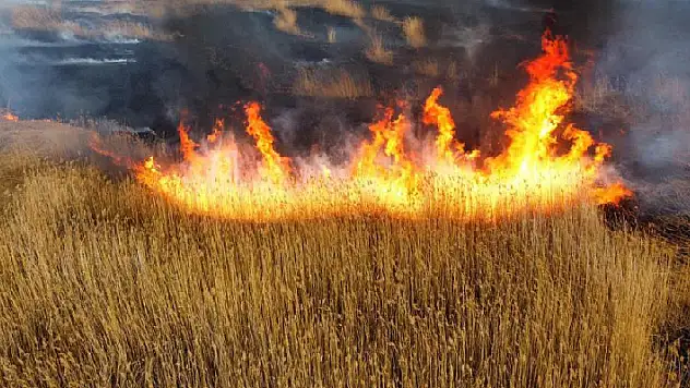Afyonkarahisar'da Eber Gölü alev alev yanıyor! Müdahale edilemiyor