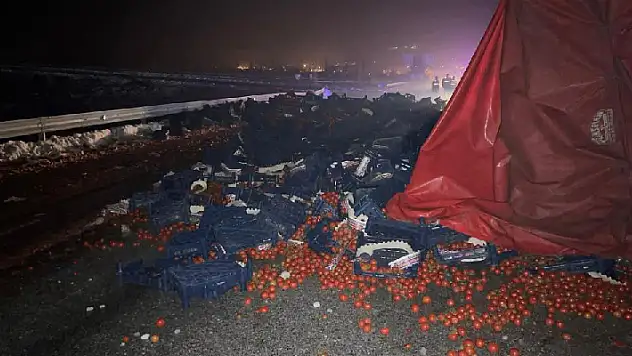 Afyonkarahisar- Konya kara yolunda devrilen tırın dorsesindeki tonlarca domates yola savruldu